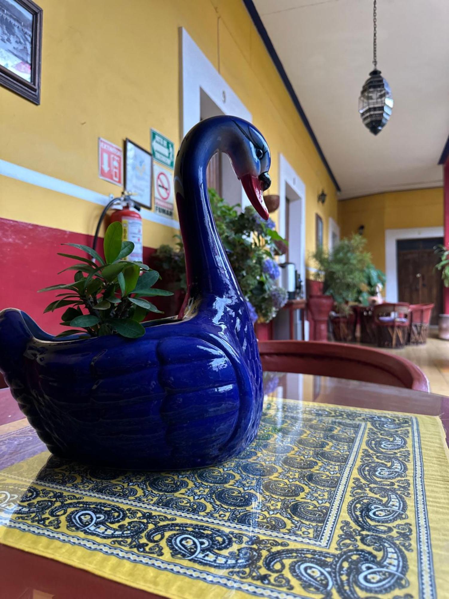 Copa De Oro Hotel Boutique Маскота Экстерьер фото