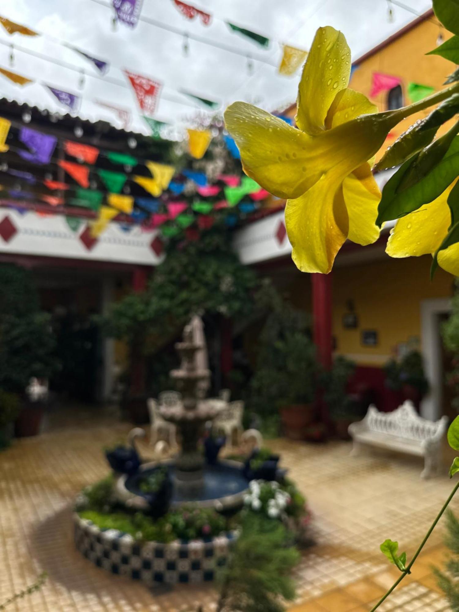 Copa De Oro Hotel Boutique Маскота Экстерьер фото