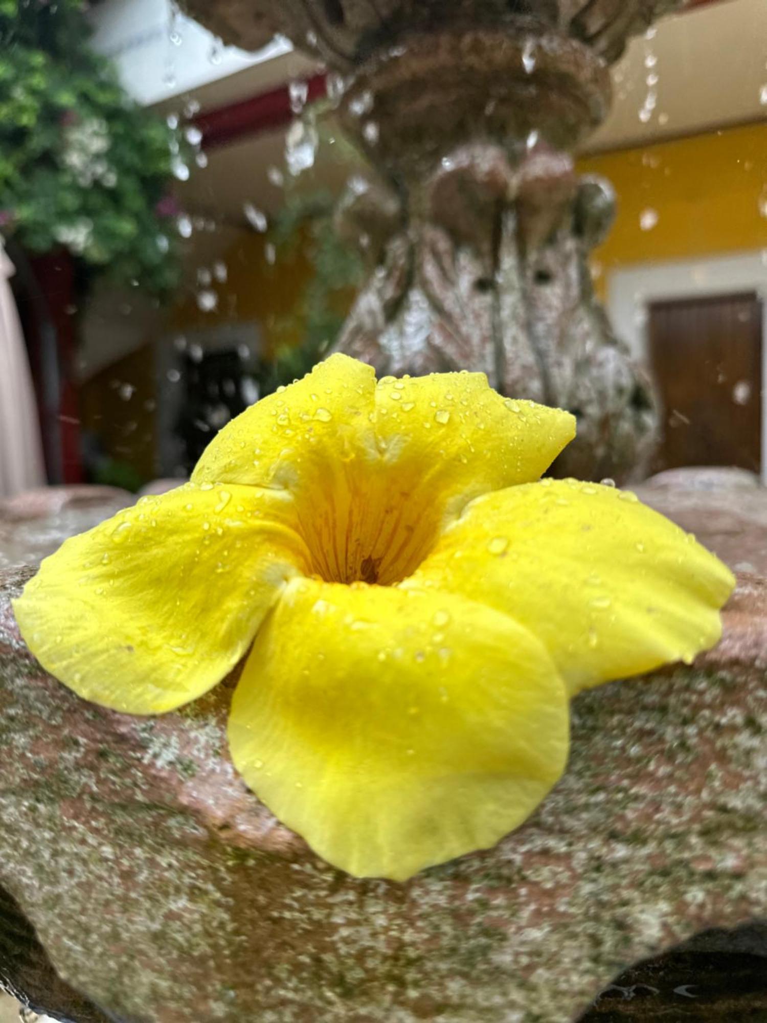 Copa De Oro Hotel Boutique Маскота Экстерьер фото